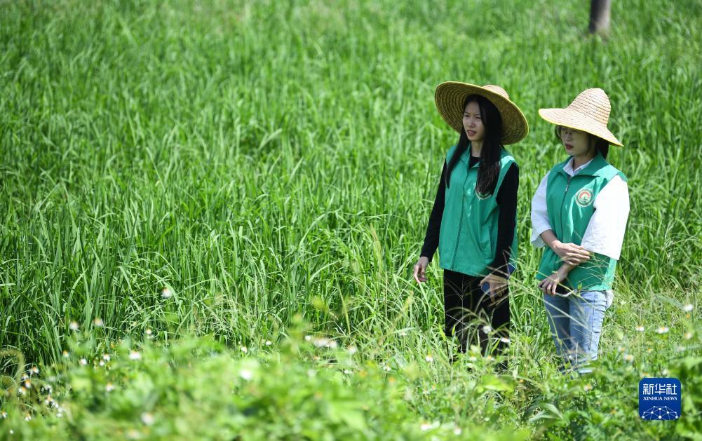 扑鱼达人电脑版游戏下载